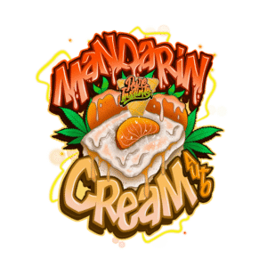 Mandarine Cream Autoflower Cannabis Seeds