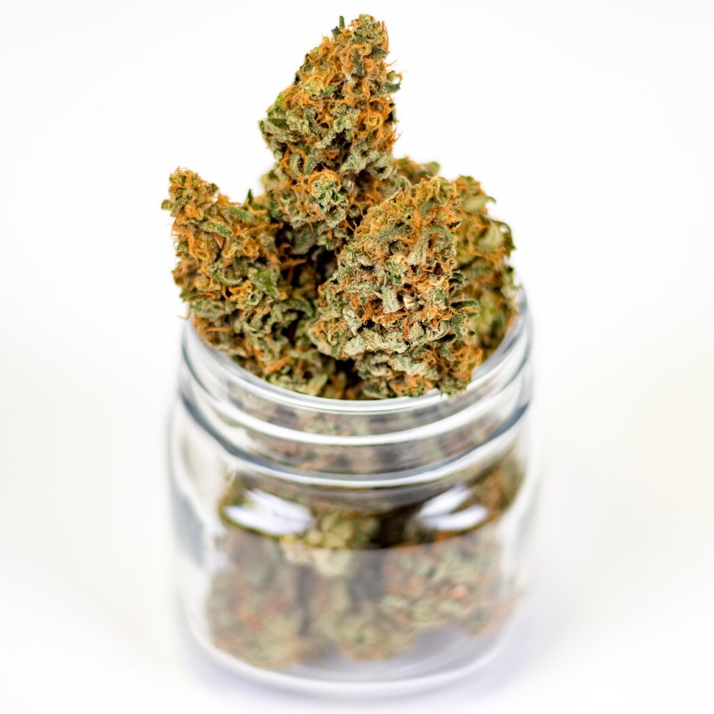 buds curing process blog (2)