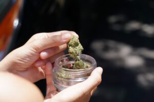 hand taking a buds from a jar