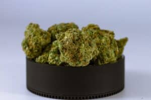 small cannabis buds in a lit