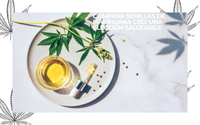PURE INSTINTO (10)