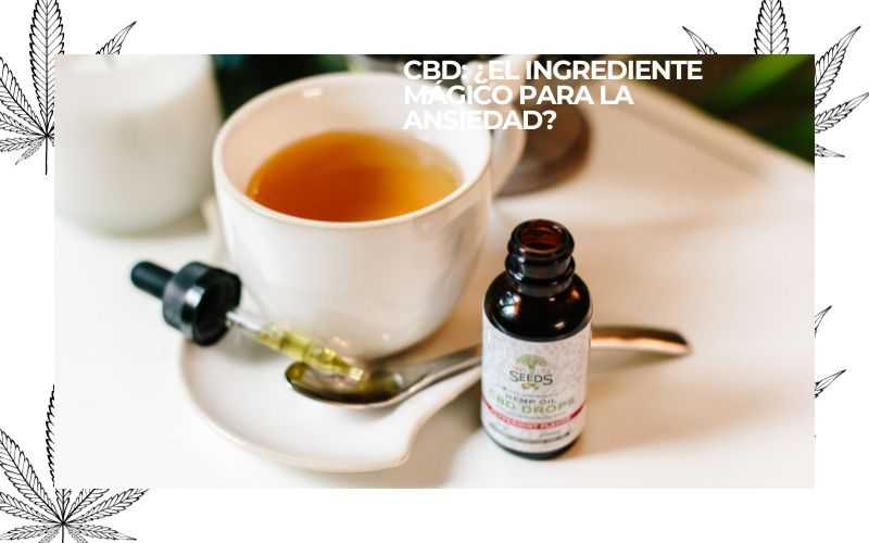 PURE INSTINTO (9)