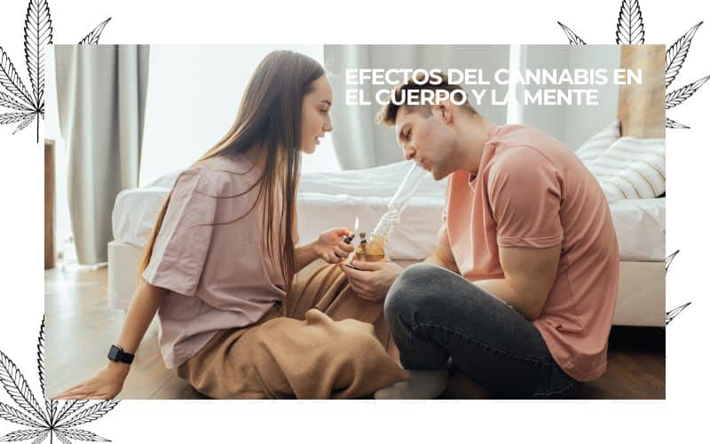 PURE INSTINTO (19)
