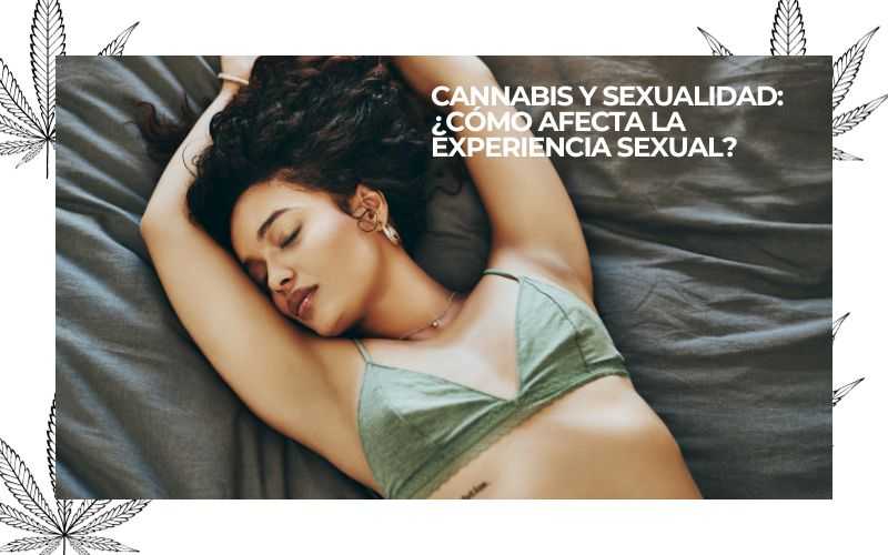 PURE INSTINTO (32)