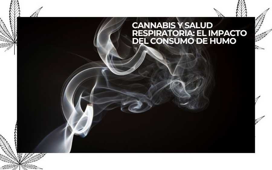 PURE INSTINTO (6)