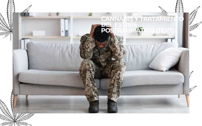 PURE INSTINTO (35)