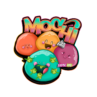Mochi 1