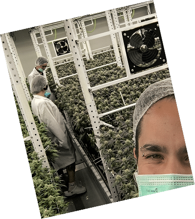 grower3